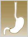 EXPLANT - ESD12 = ESOPHAGUS / STOMACH / DUODENUM 1-12"