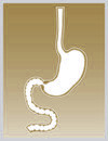 EXPLANT - ESD18 = ESOPHAGUS / STOMACH / DUODENUM 18-24"
